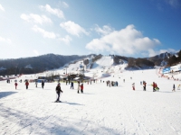 Mùa đông ở tỉnh Gangwon
